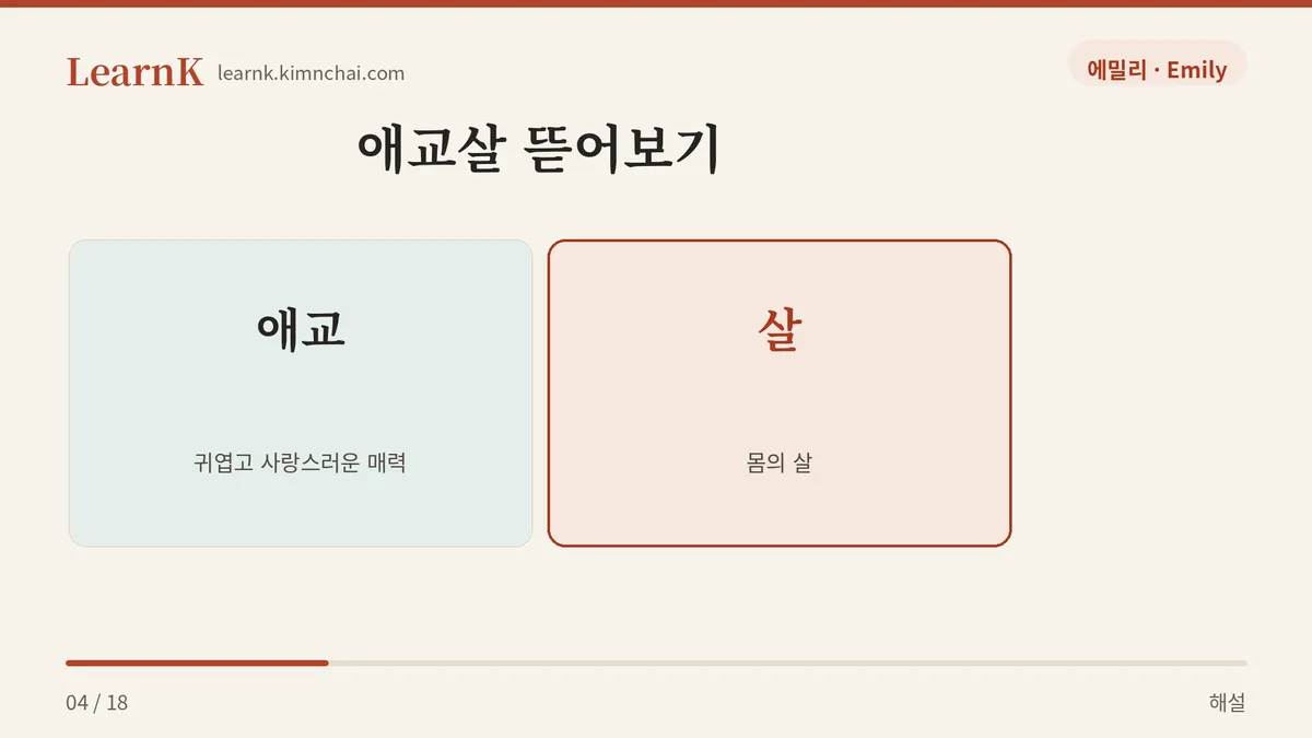 애교 + 살