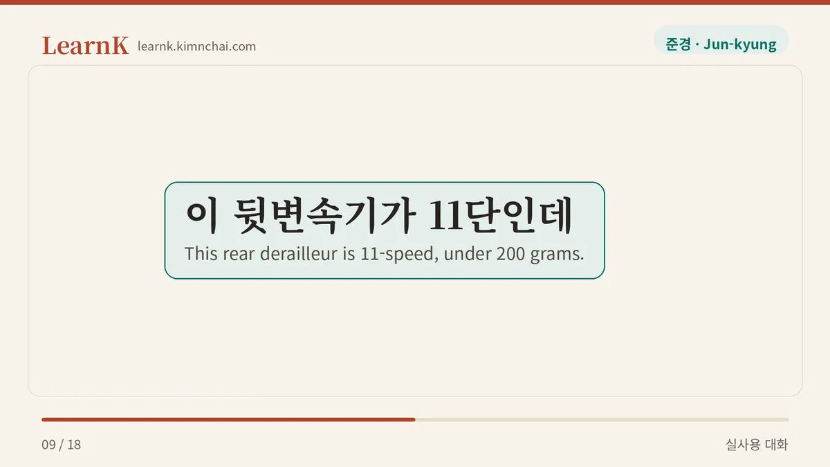 이 뒷변속기가 11단인데