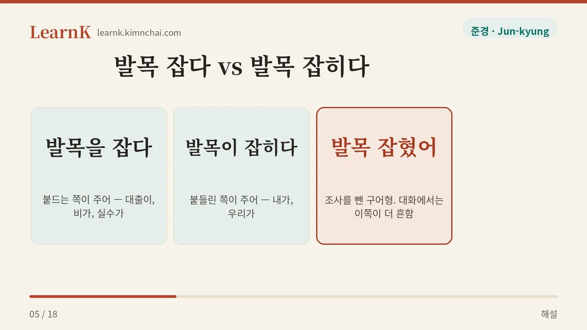 잡다 / 잡히다