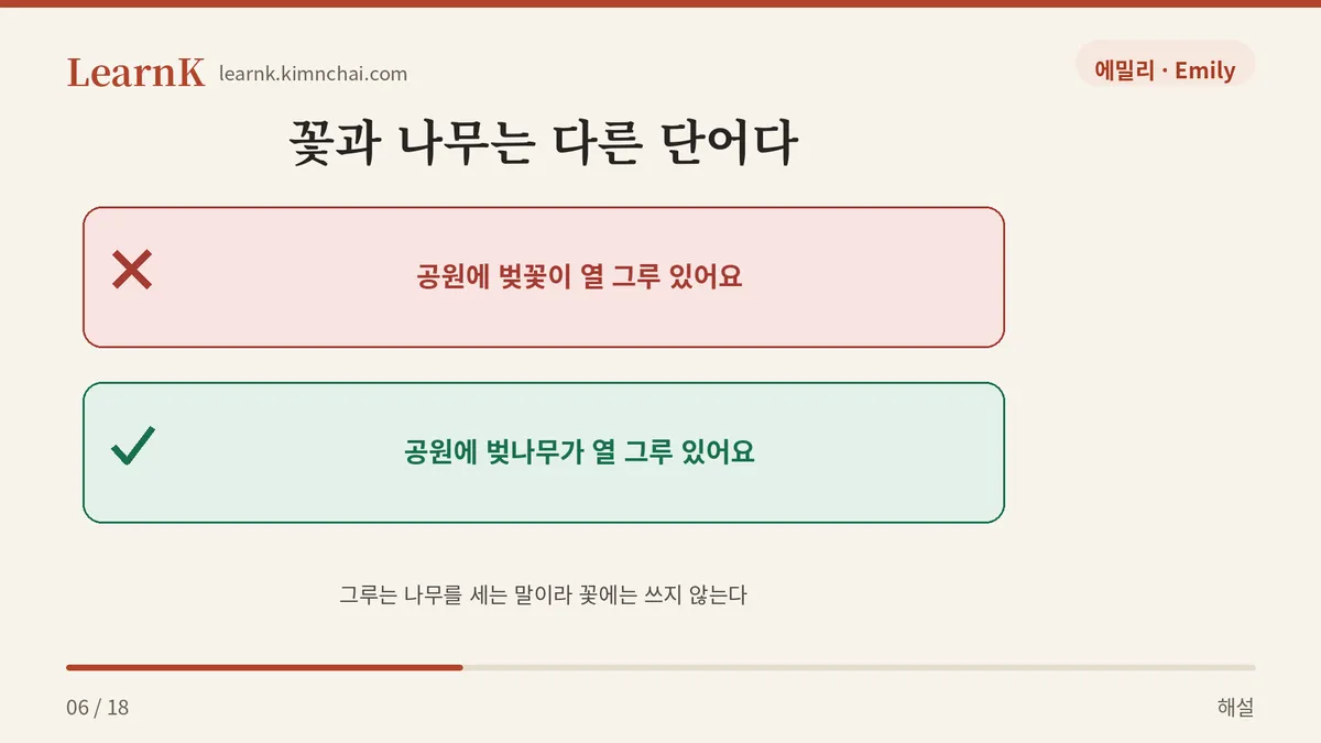 벚꽃 vs 벚나무