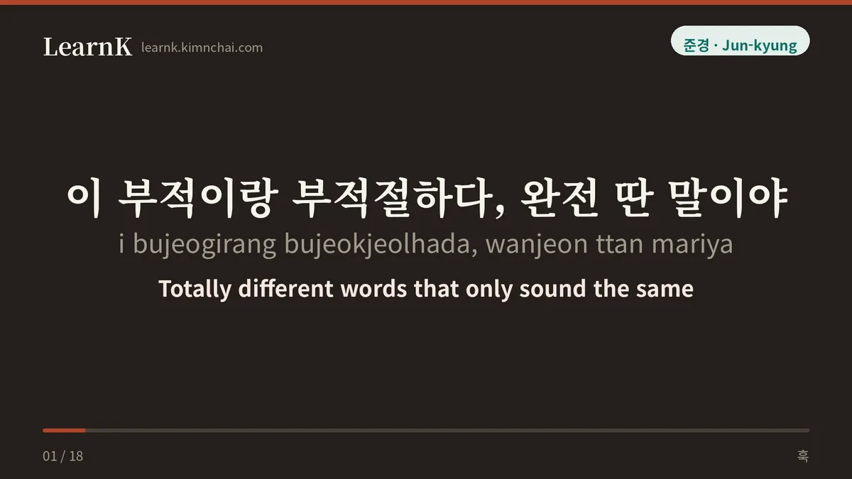 이 부적이랑 부적절하다, 완전 딴 말이야