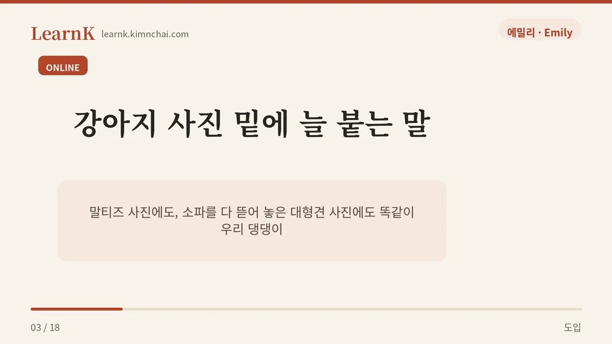 사전엔 없고 매일 쓴다