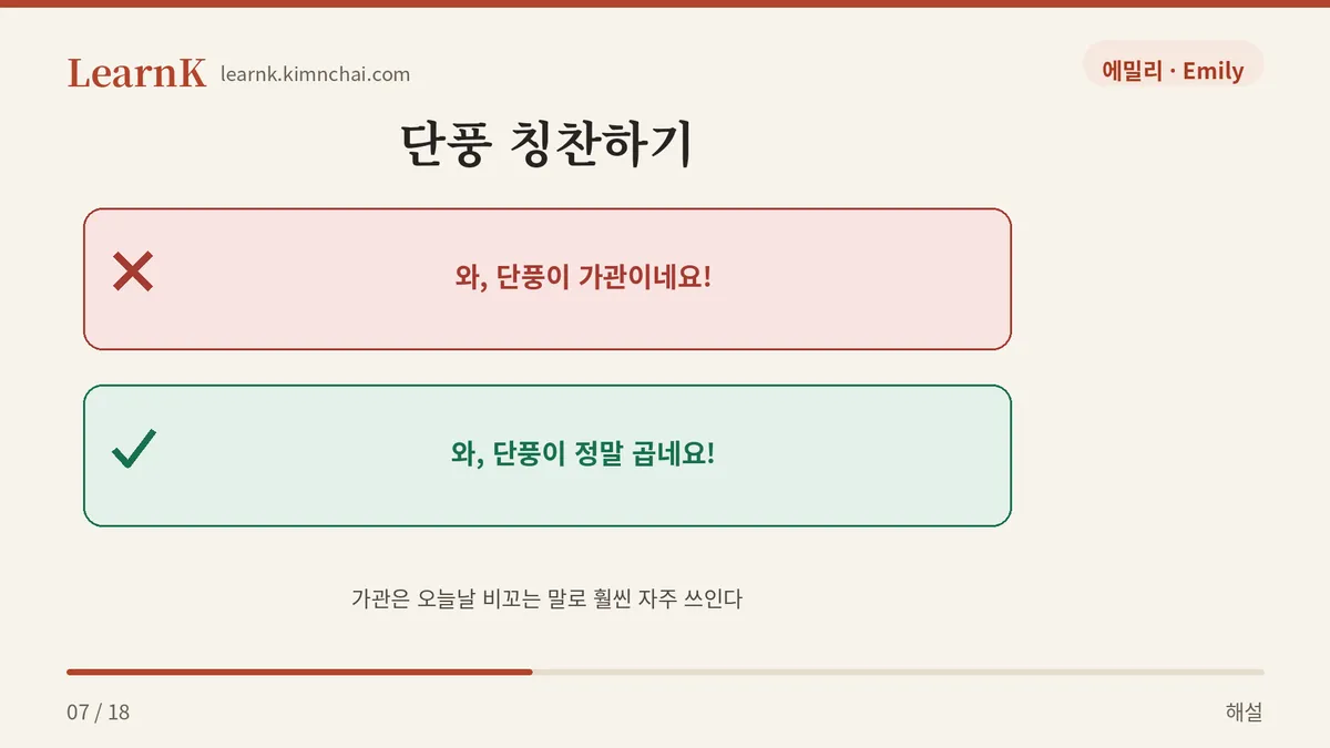 곱네요 vs 가관이네요