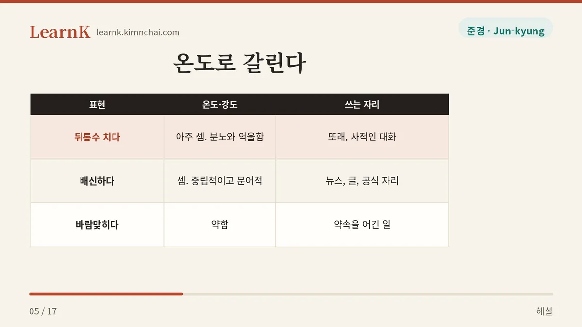 뒤통수 치다 vs 배신하다