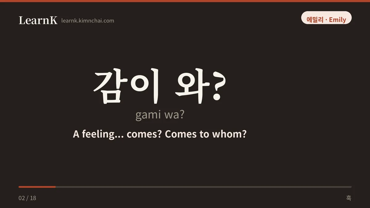 감이 와?