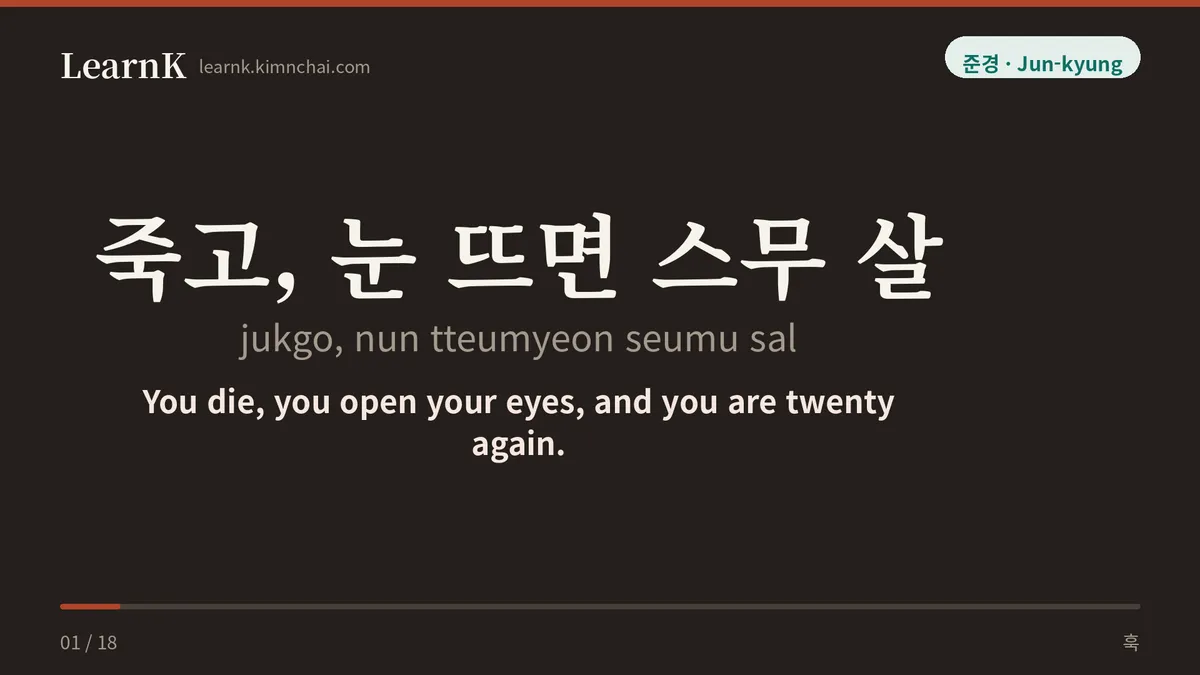 죽고, 눈 뜨면 스무 살
