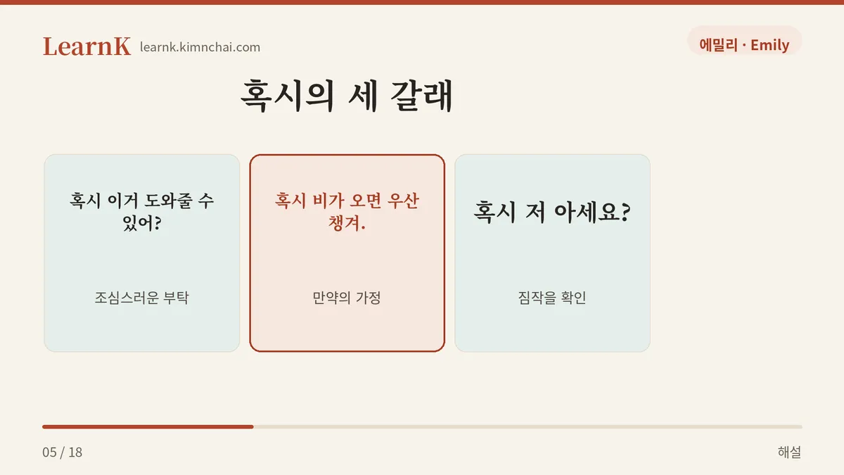 혹시의 세 갈래