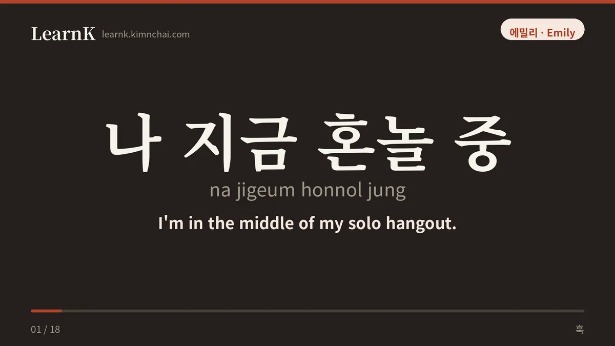 나 지금 혼놀 중