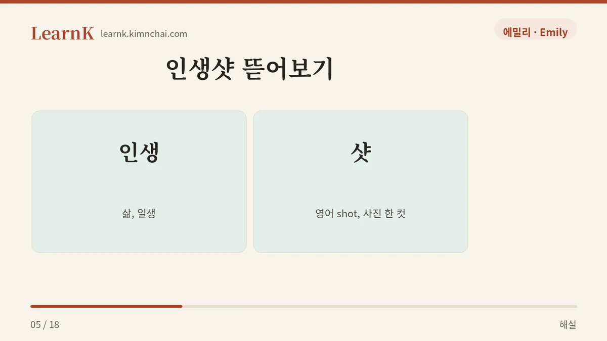 인생 + 샷