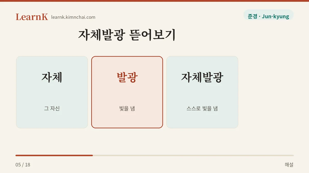 자체 더하기 발광