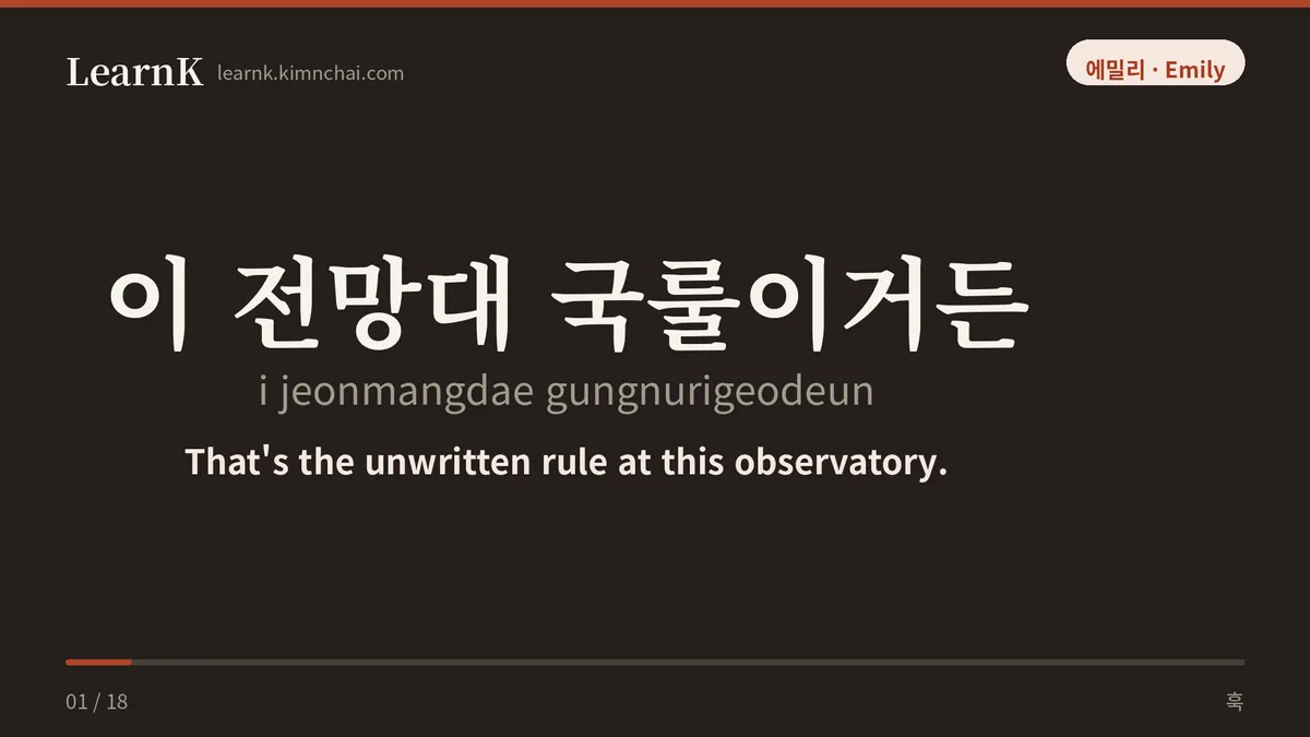이 전망대 국룰이거든