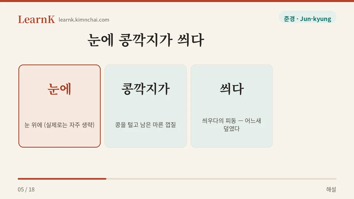 눈에 콩깍지가 씌다