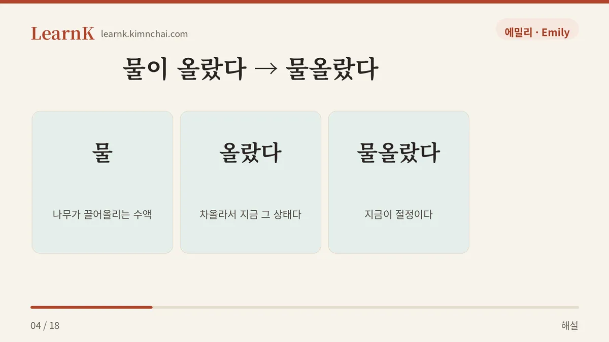 물 + 올랐다