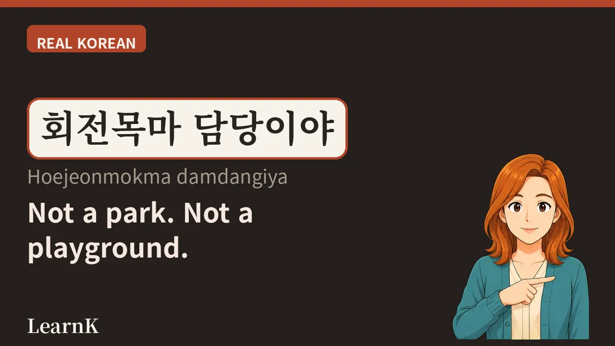 놀이공원 (norigongwon): Not a Park, Not a Playground — the Place You Buy a Ticket to Get Into