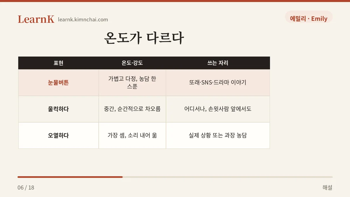 비슷한 말 셋