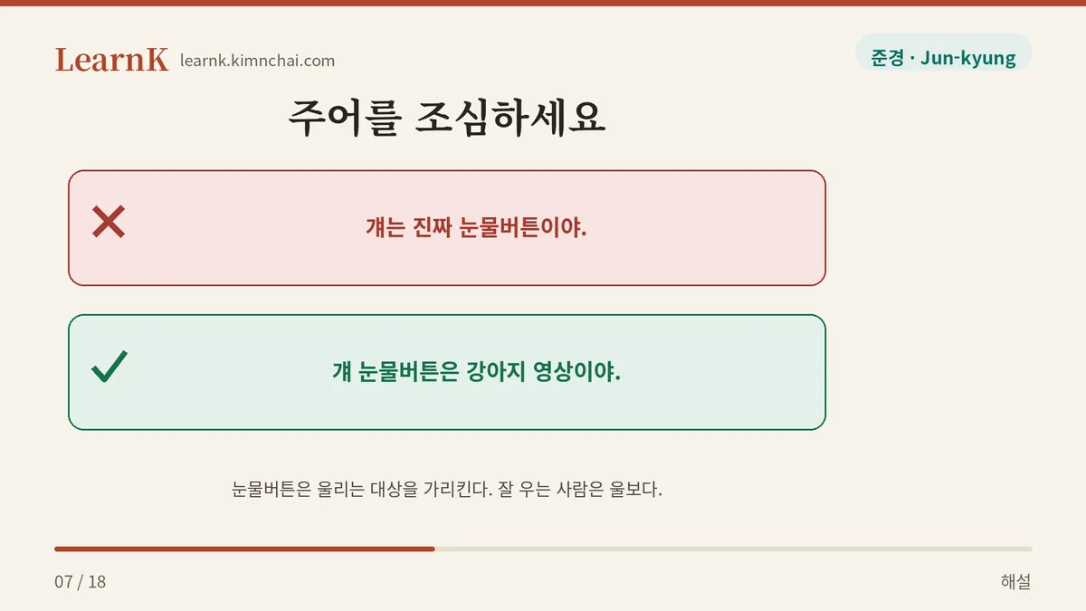 우는 사람이 아니다