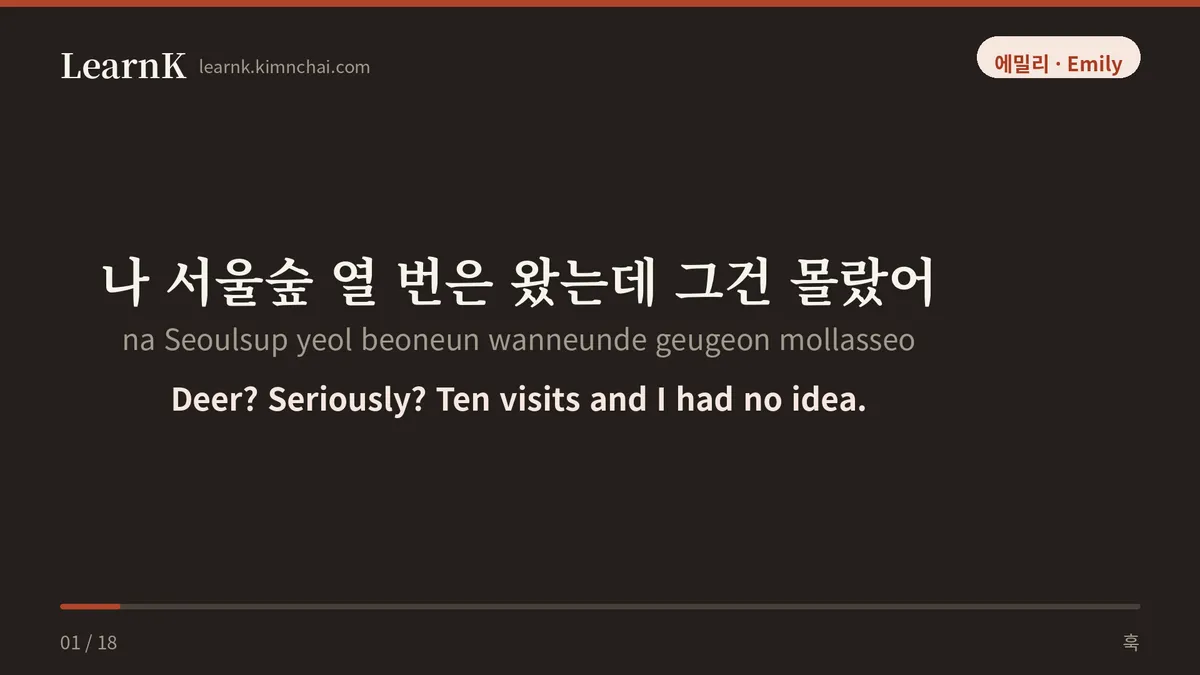 나 서울숲 열 번은 왔는데 그건 몰랐어