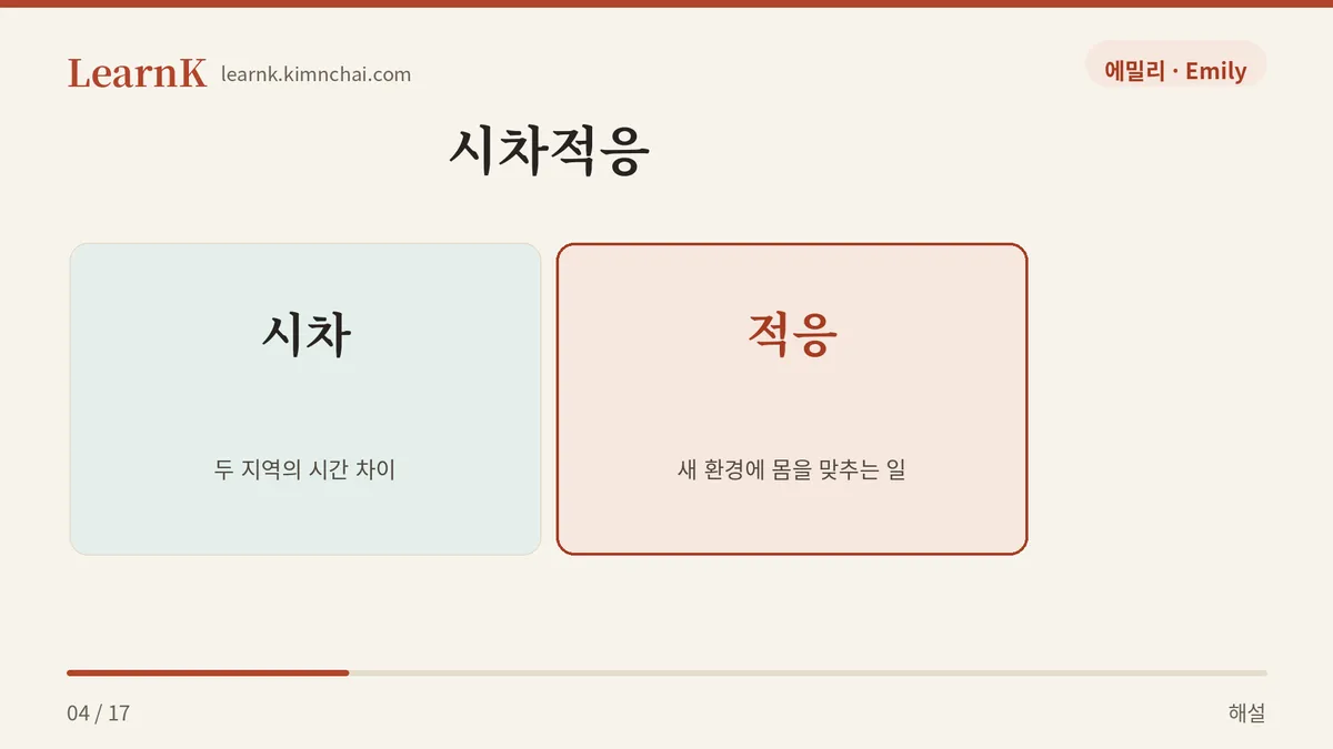시차 더하기 적응