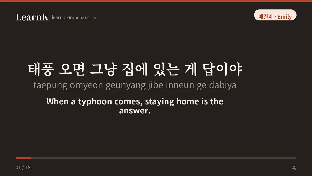 태풍 오면 그냥 집에 있는 게 답이야