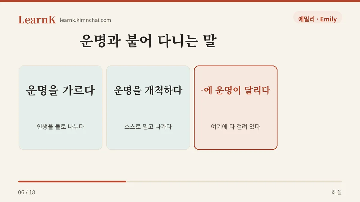 운명을 가르다